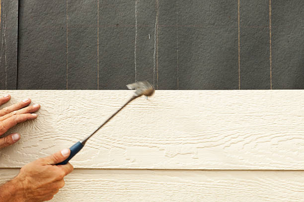 Best Historical Building Siding Restoration  in Menonee, MI